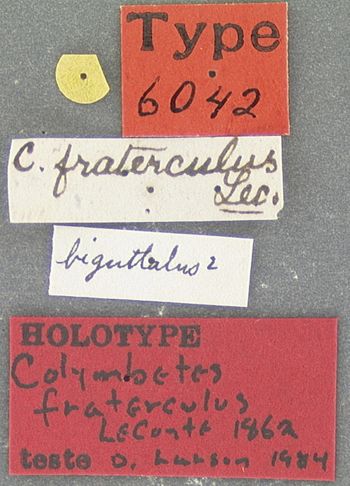 Media type: image;   Entomology 6042 Aspect: labels